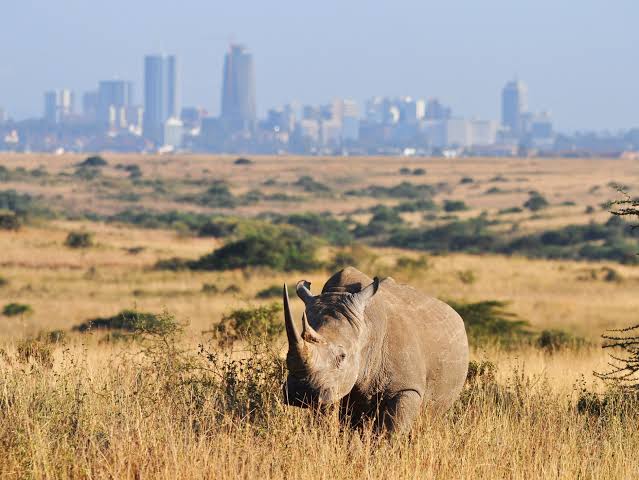Nairobi