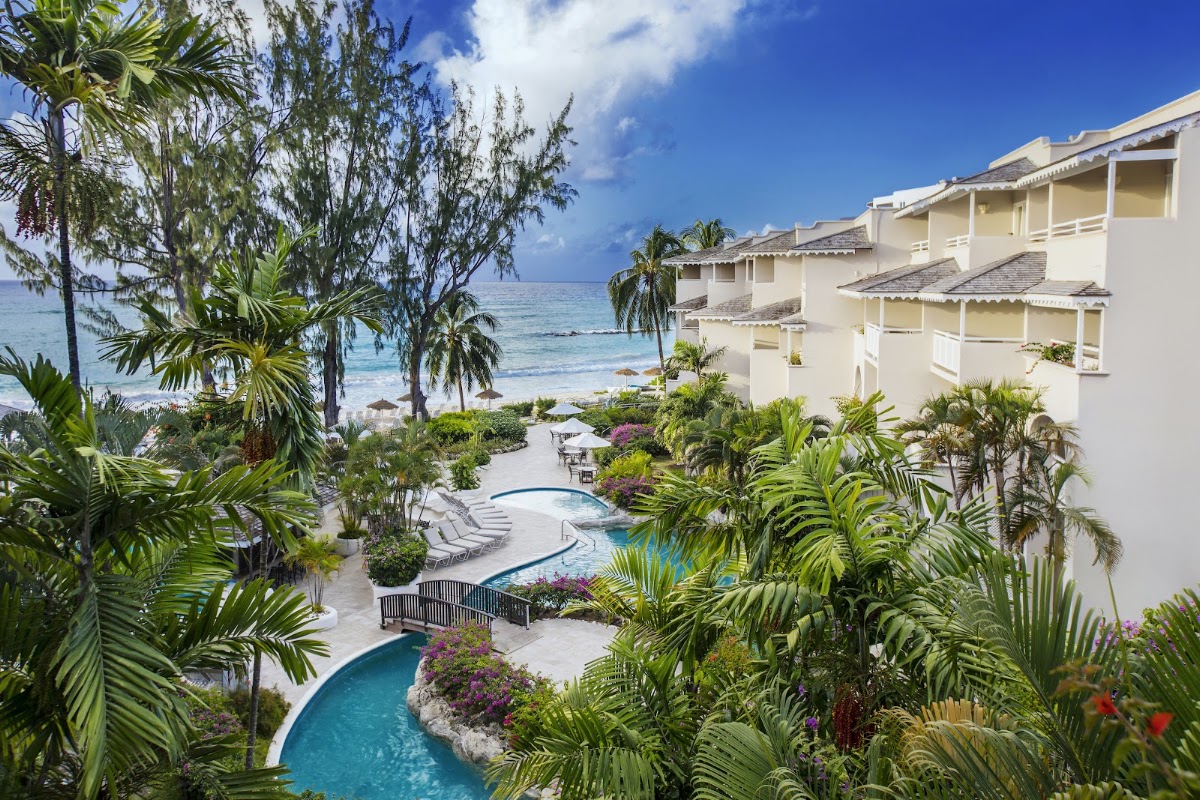 Bougainvillea Barbados