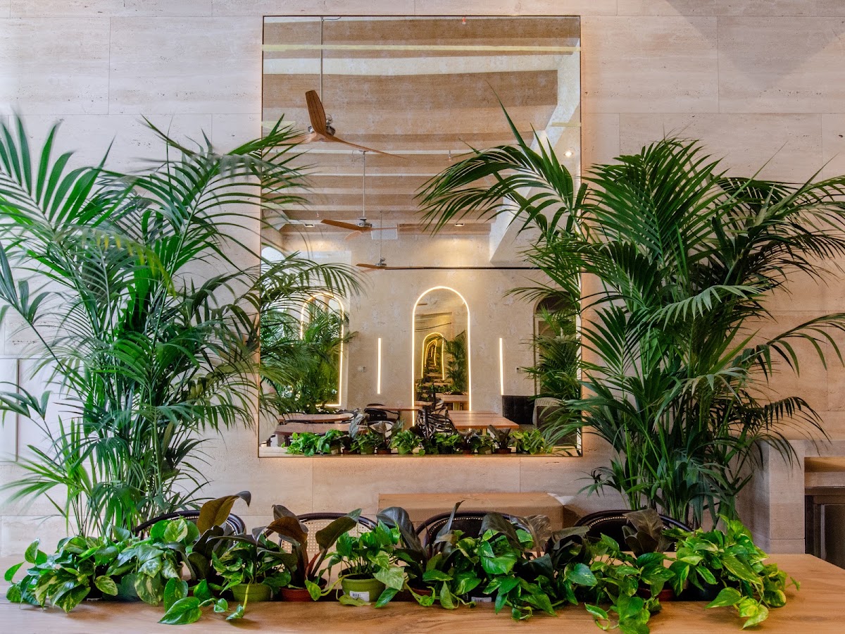 Brown's | Avenue Hotel