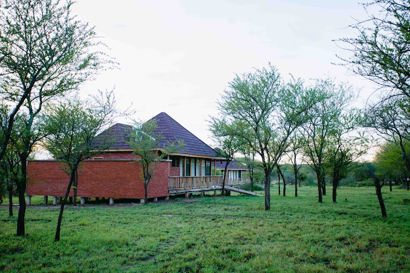 Into Wild Africa Luxury Safari Lodge Serengeti — Serengeti