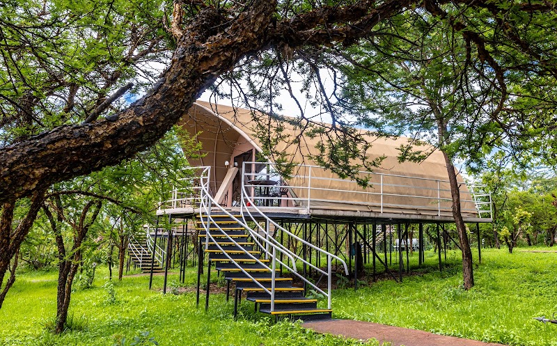 Ngorongoro Safari Lodge — Ngorongoro