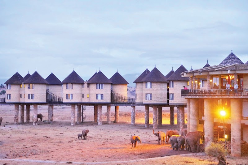 Salt Lick Safari Lodge — Tsavo