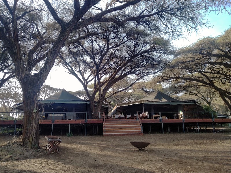 Sanctuary Ngorongoro Crater Camp Tanzania — Ngorongoro
