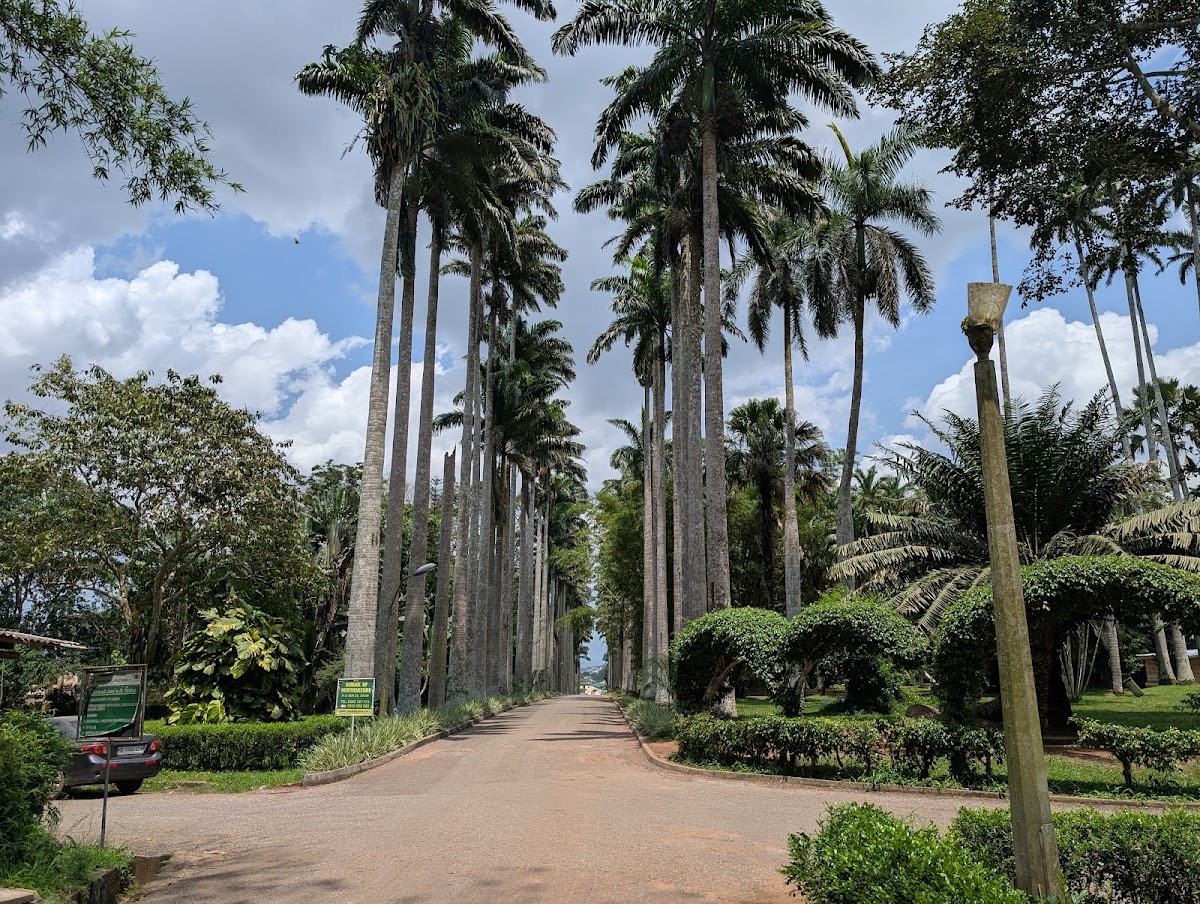 Aburi Botanical Gardens & Park | TortoisePath.com — Accra