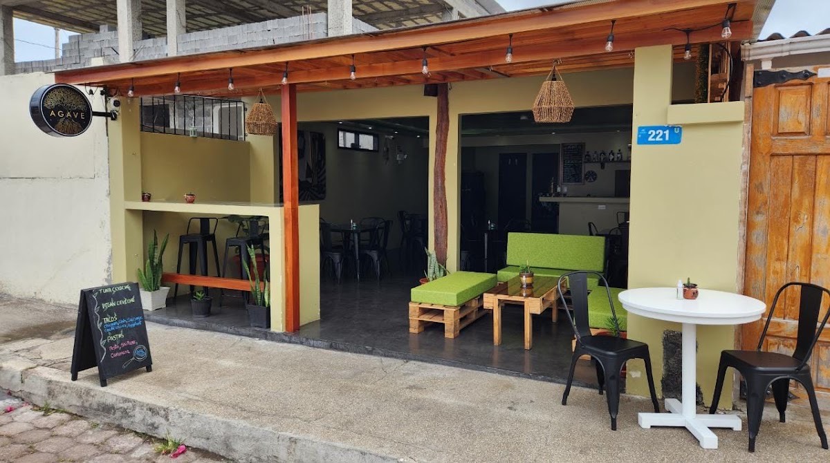 Agave Studio — Galápagos