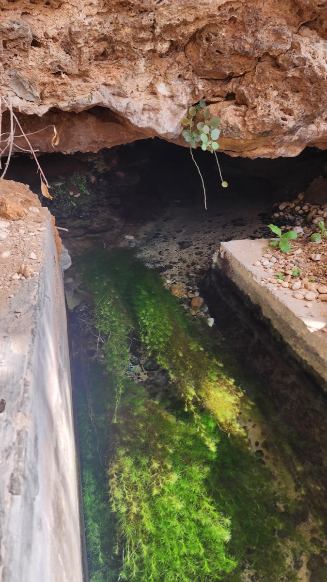Ain Jarziz - Wilayat Salalah — Salalah