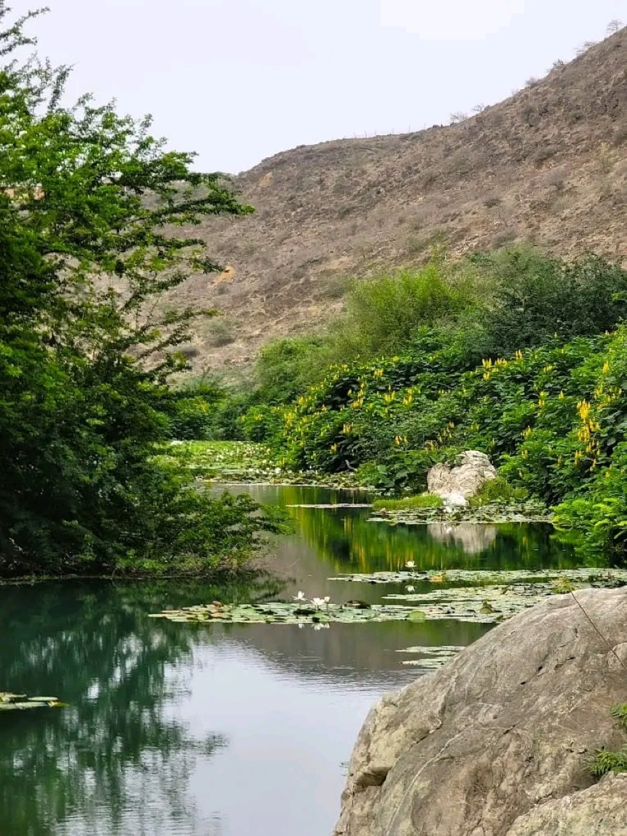 Ain Razat — Salalah