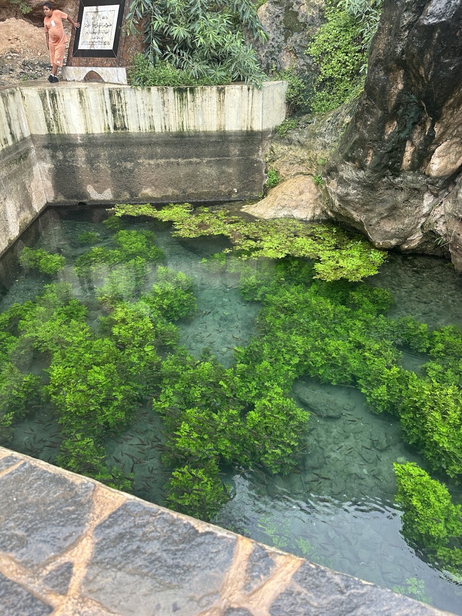 Ain Sahanoot — Salalah