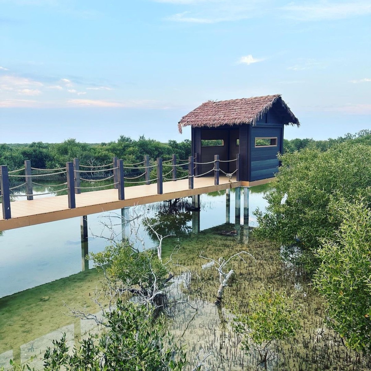Al Thakira Mangroves Forest Beach — Al Khor