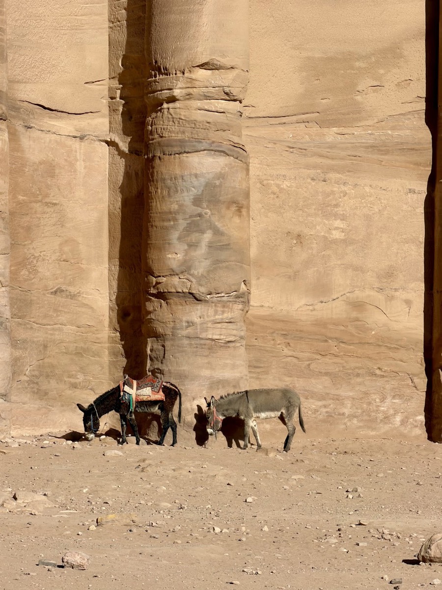 AlDayr — Petra