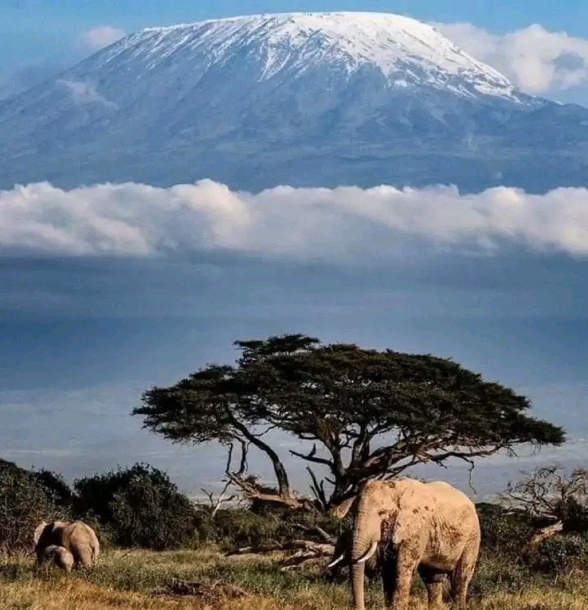 Amboseli National Park — Amboseli