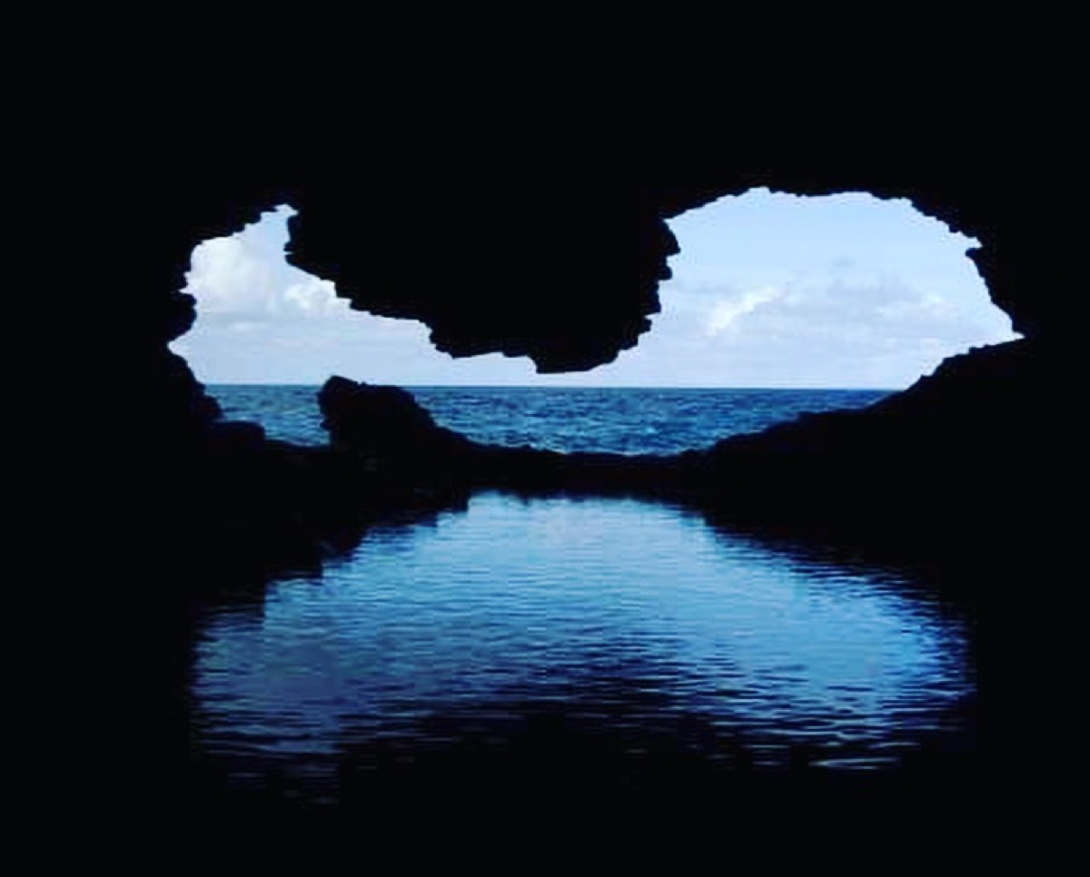 Animal Flower Cave & Restaurant — Speightstown