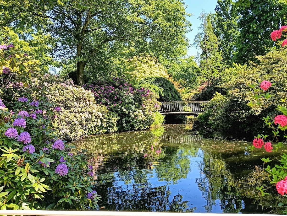 Arboretum trompenburg — Rotterdam
