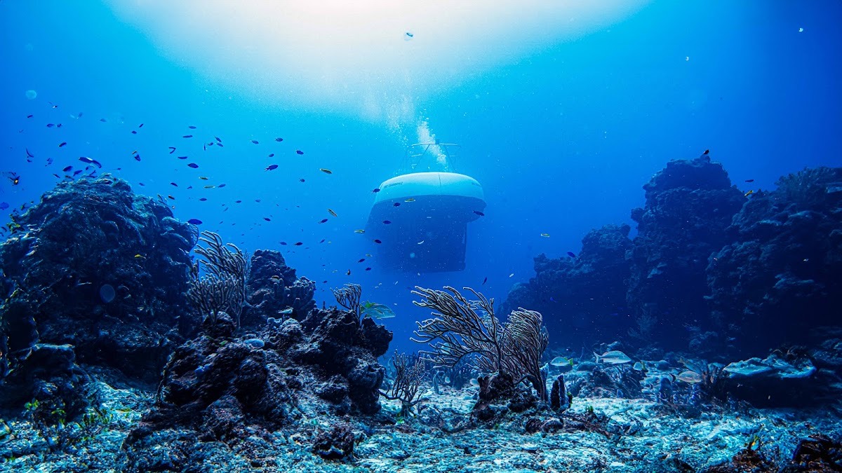 Atlantis Submarines Cozumel — Cozumel