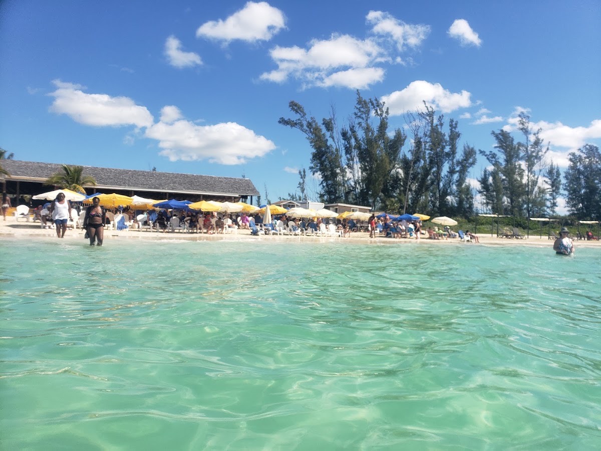 Bahamas Adventures Freeport — Freeport