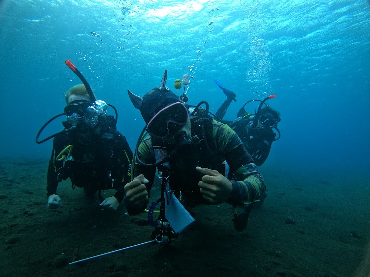 Bali Diving — Bali