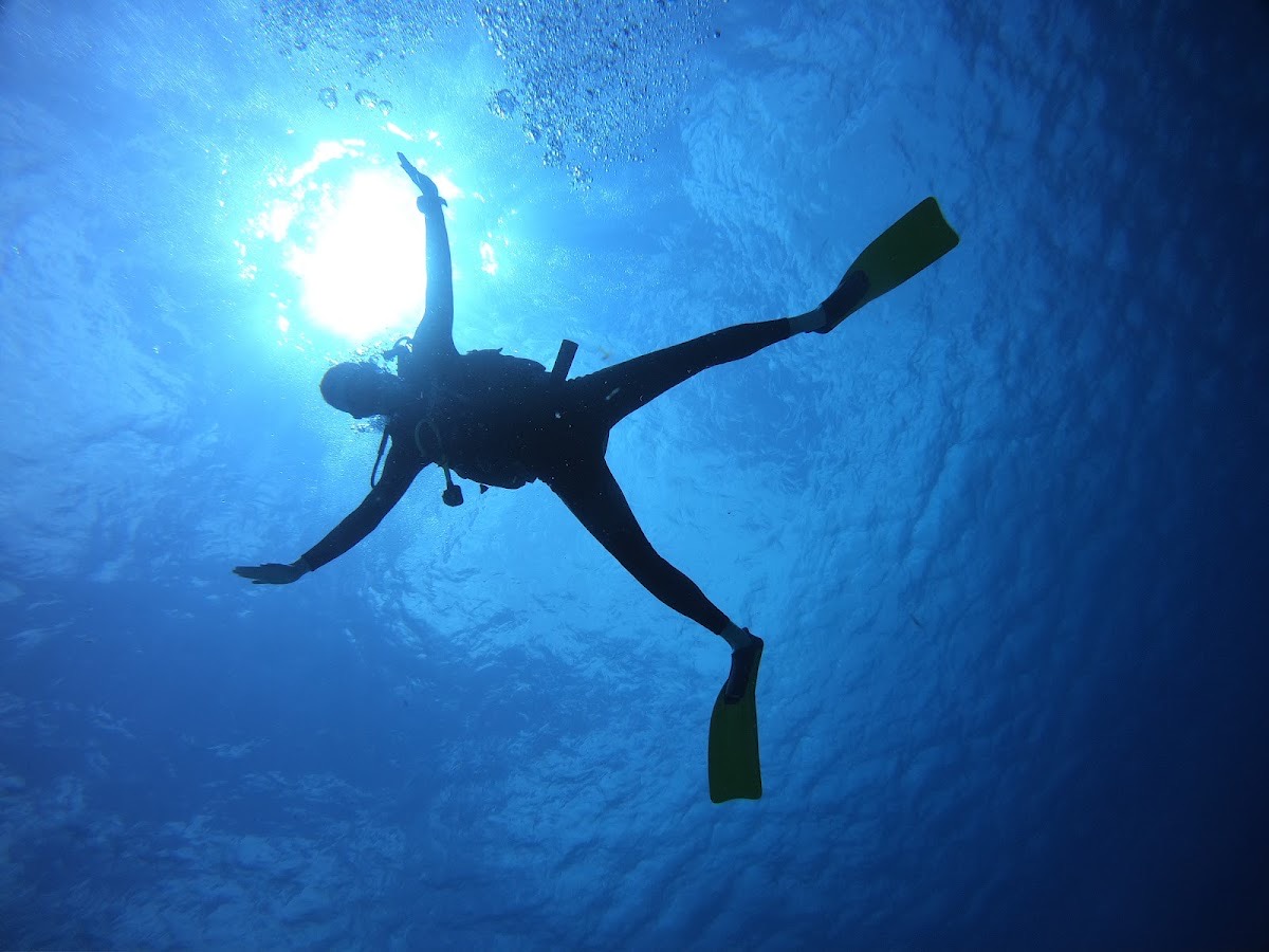 Barefoot Dive Center Cozumel — Cozumel