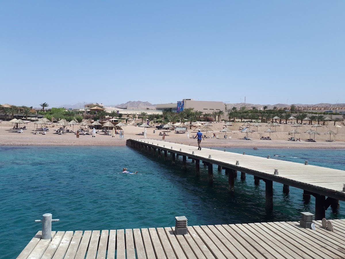 Berenice Beach Club