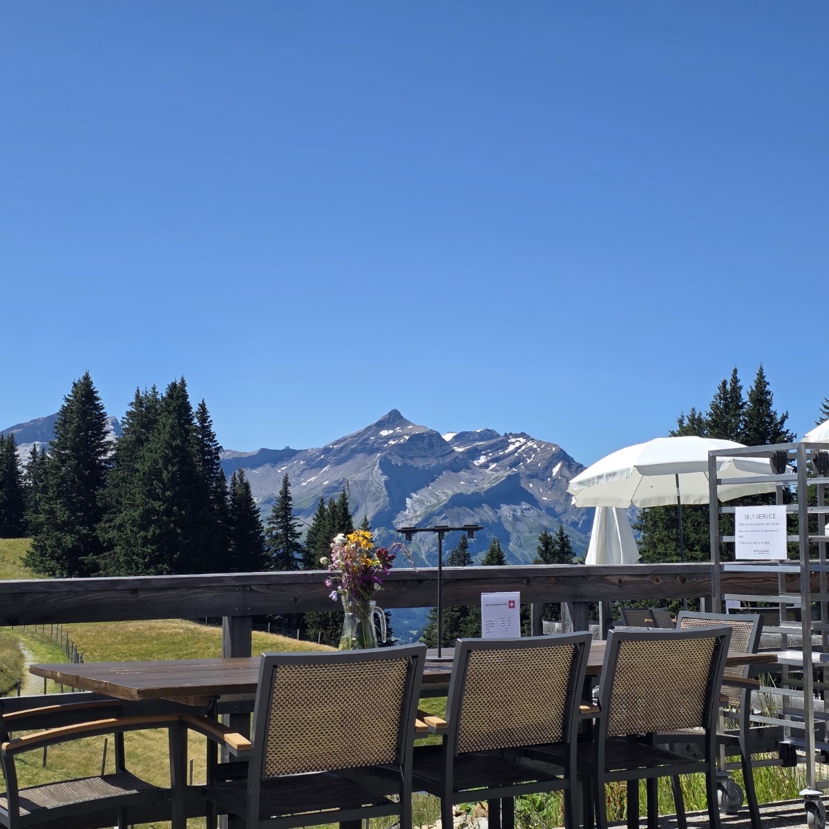 Berghaus Wispile — Gstaad