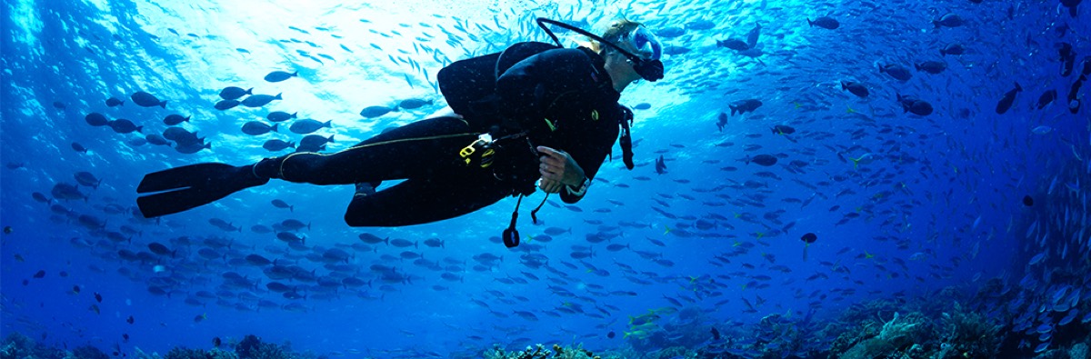 Blue Life — Playa del Carmen