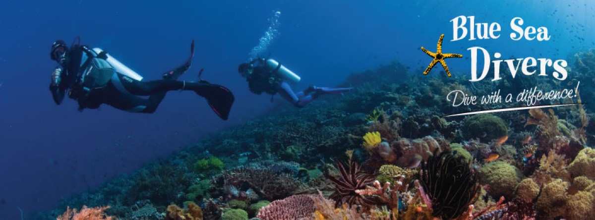 Blue Sea Divers Seychelles — Mahé