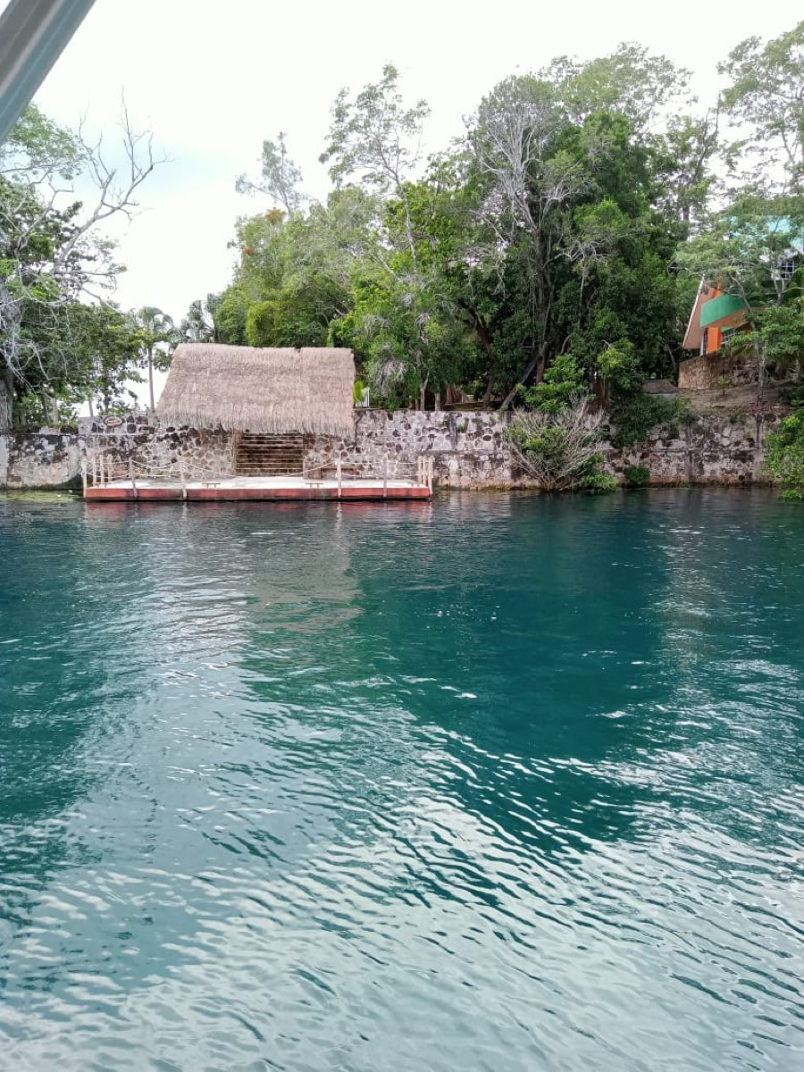 Cenote Negro — Bacalar
