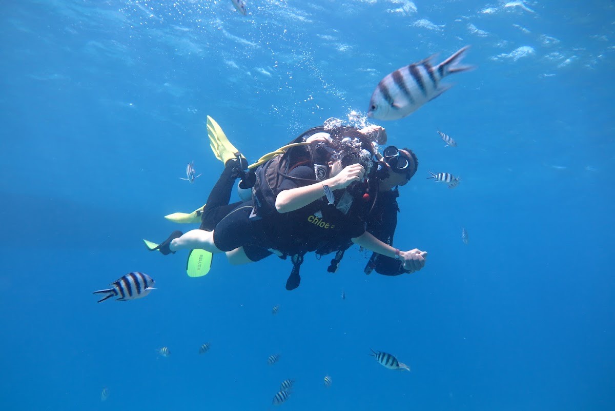 Chloe's Diving Center - Scuba Diving In Hurghada — Hurghada