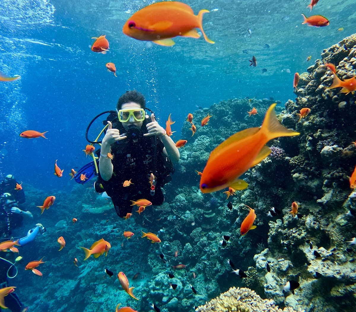 Cinderella Eldawley Diving Center — Sharm El Sheikh