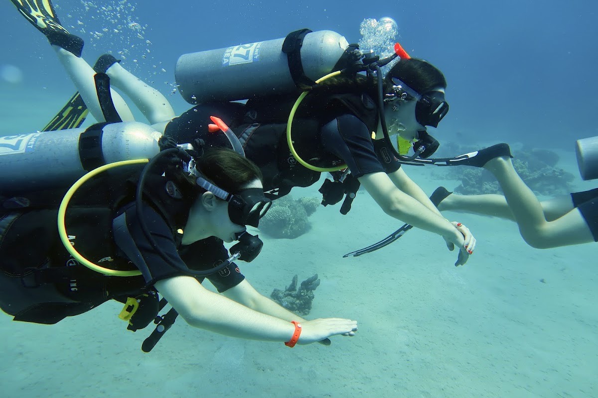Coral Diving Club — Sharm El Sheikh