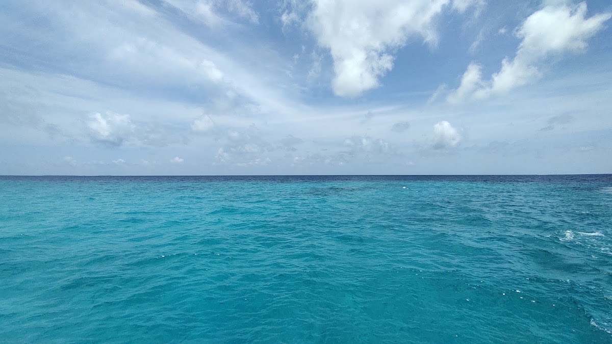 Coral Garden - Dhigurah — Dhigurah