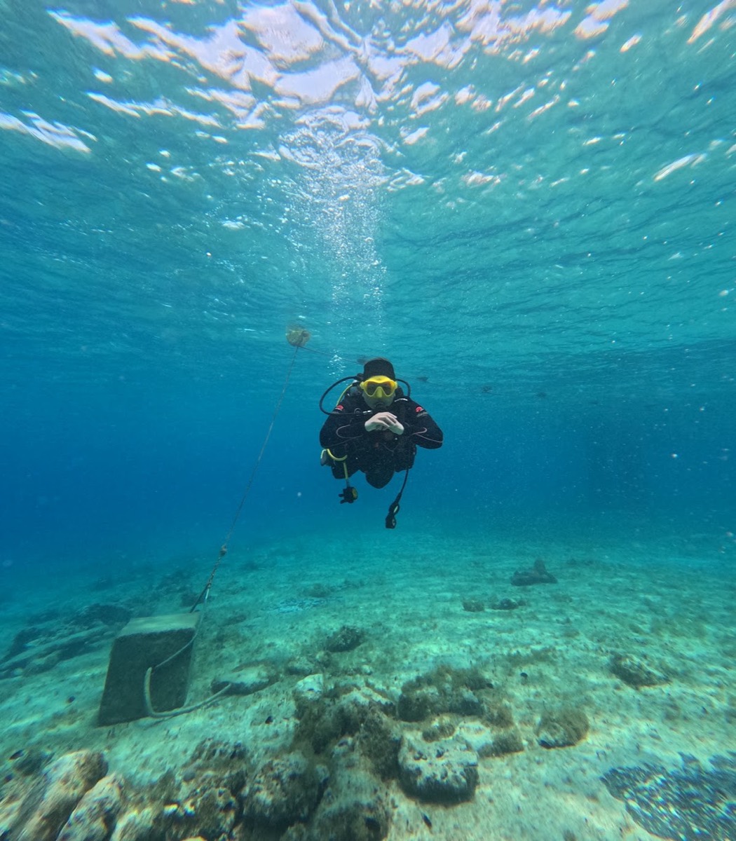 Cozumel Diving Trip — Cozumel