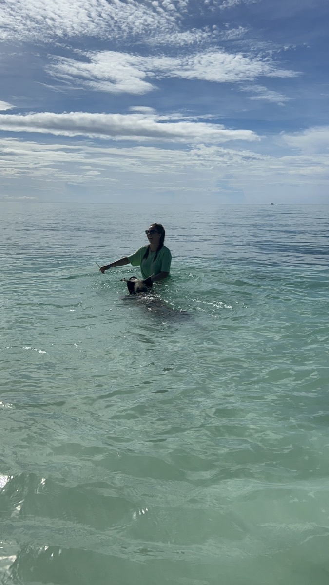 Creative Eco Adventures — Freeport