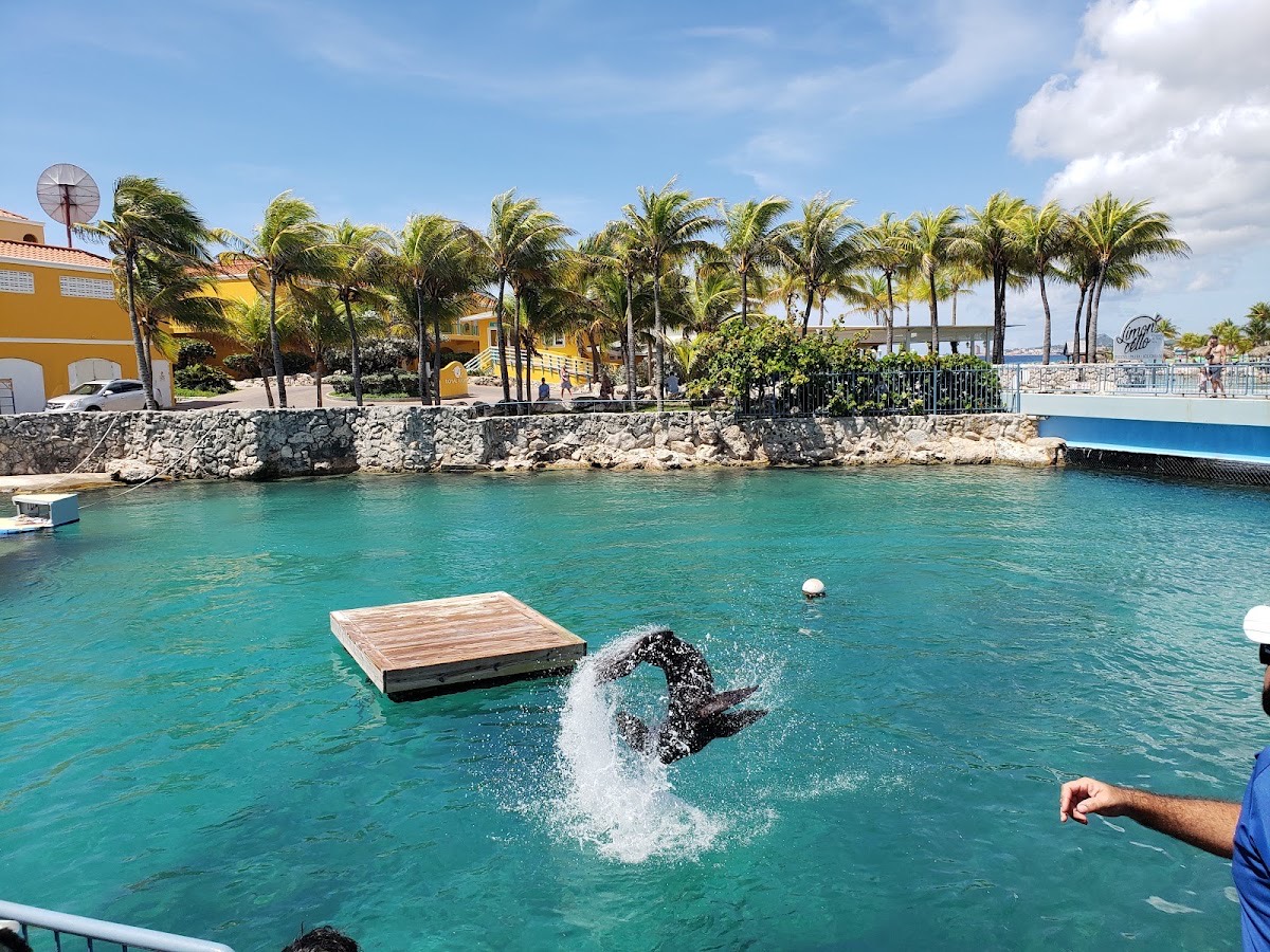 Curaçao Sea Aquarium