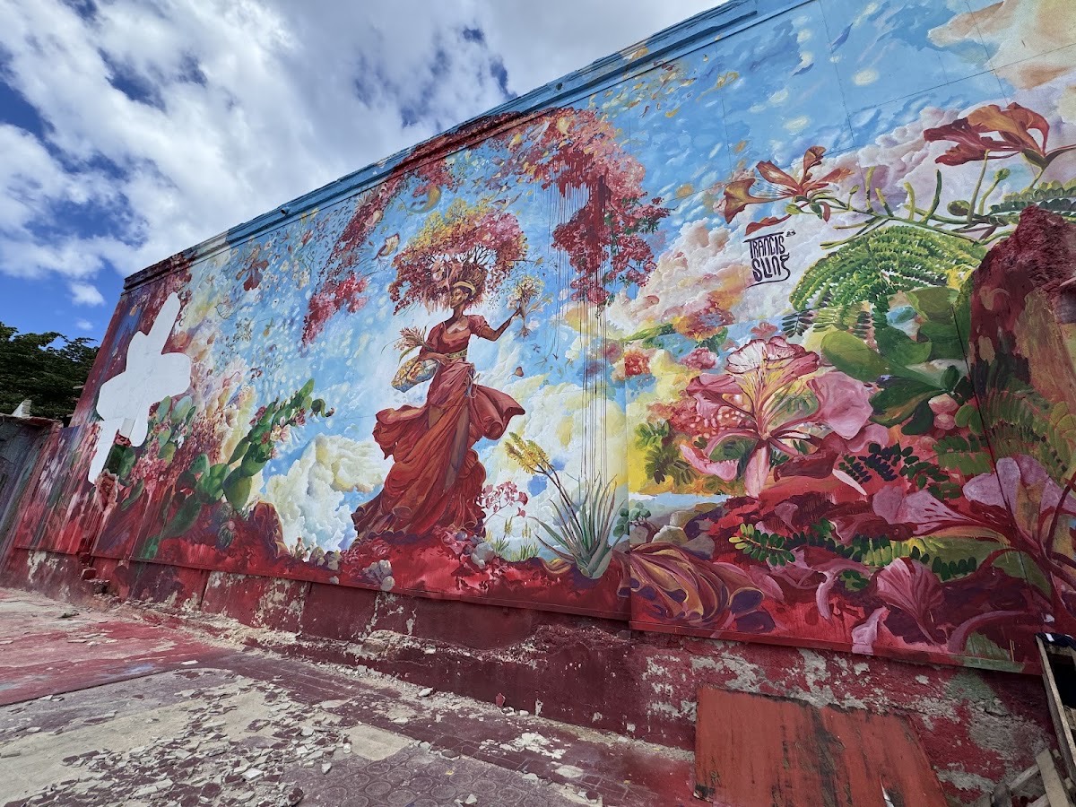 Dushi Walks (Otrobanda) — Willemstad