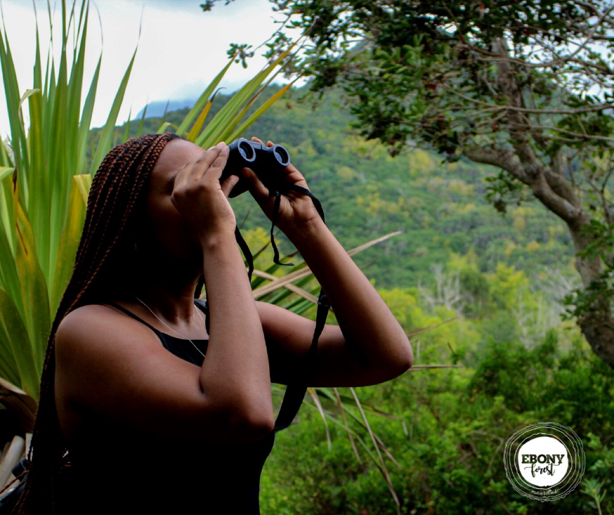 Ebony Forest Reserve Chamarel — Le Morne