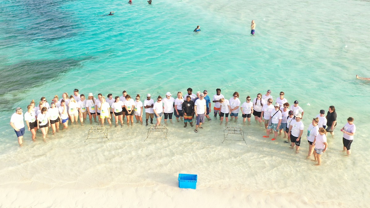 Eco Dive Club - Maafushi — Maafushi
