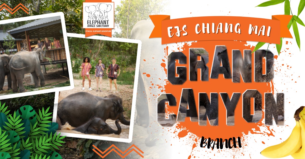 Elephant Jungle Sanctuary Chiang Mai (Grand Canyon Branch) — Chiang Mai