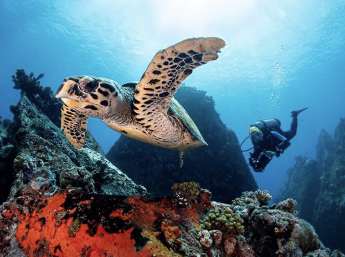 EQUINOXE Diving School — Mahé