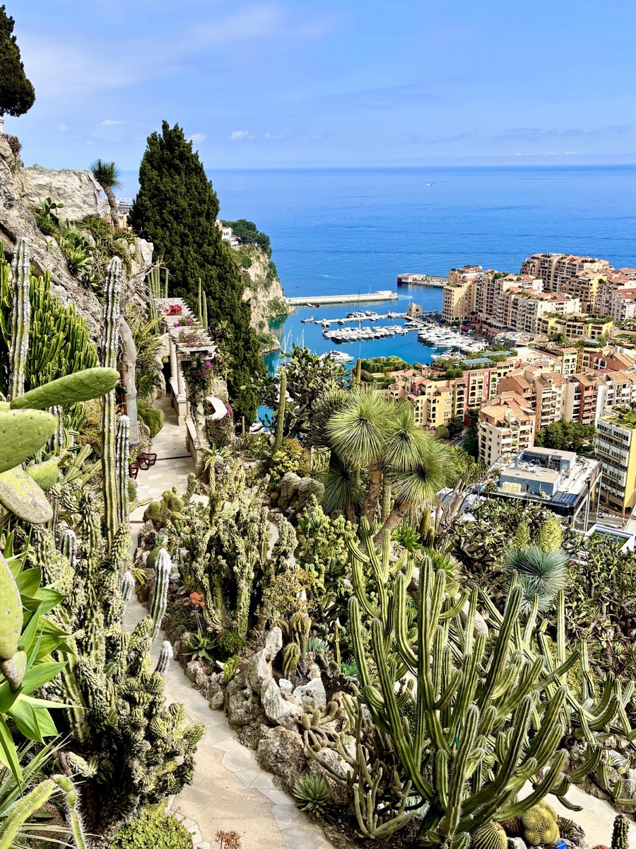Exotic Garden of Monaco — Monaco-Ville