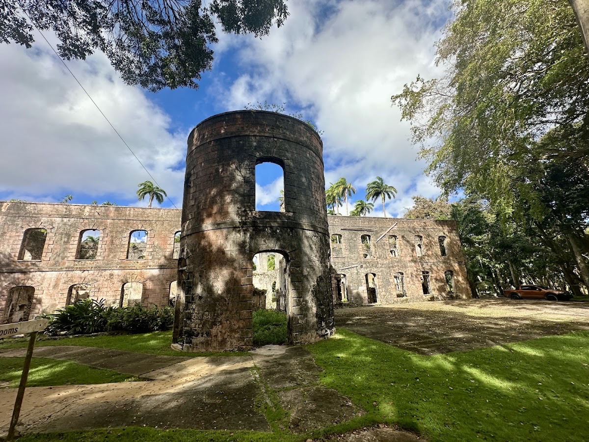 Farley Hill National Park — Holetown