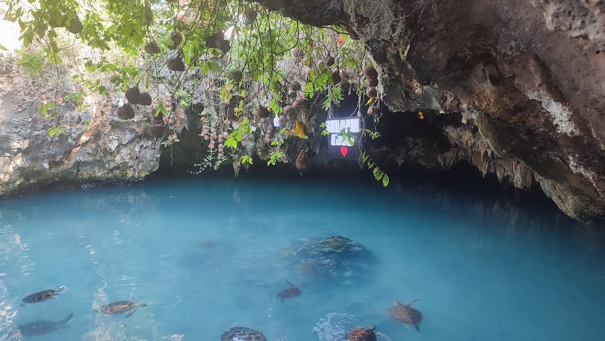 Garden cave (The secret cave) — Sansibar