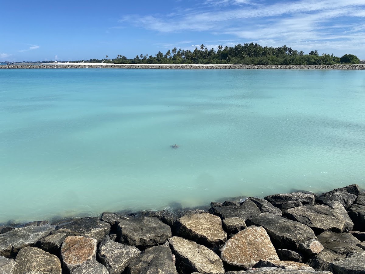 Gaukendi Turtle Point — Addu