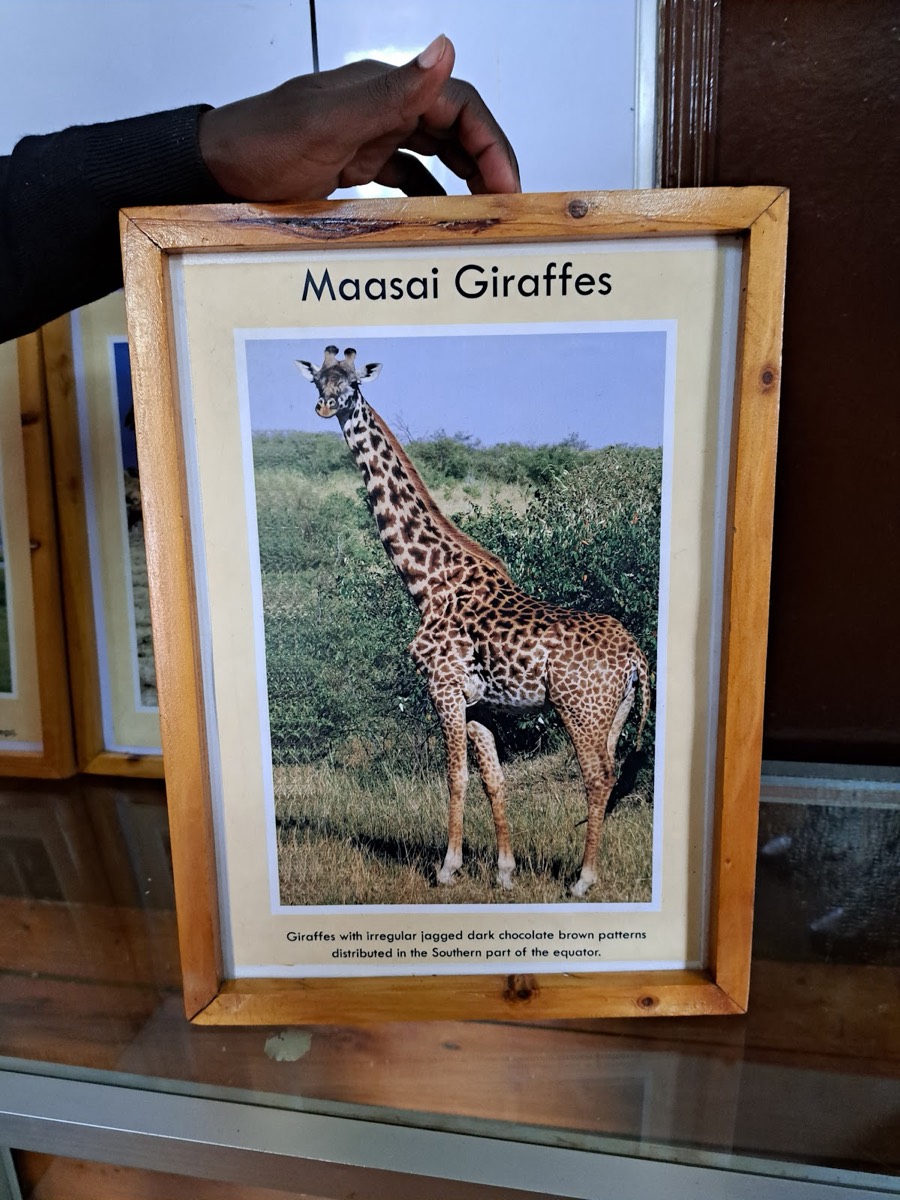 Giraffe Centre — Nairobi
