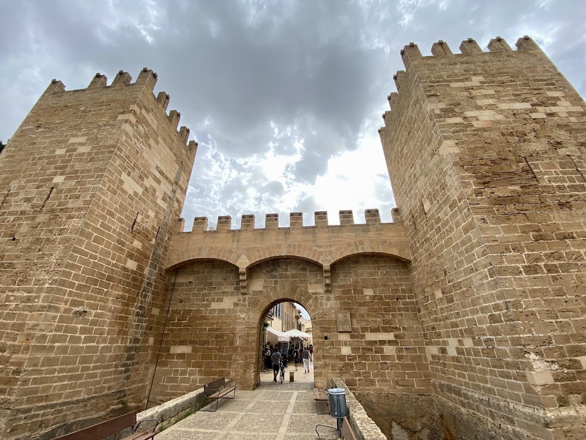 Cova de les Muralles d'Alcúdia