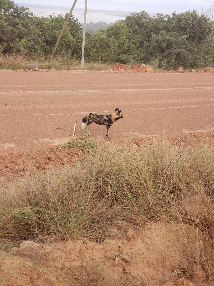 Stiegler's Gorge — Nyerere-Nationalpark