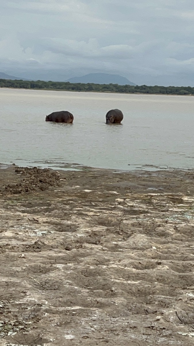 Lake Tagalala — Nyerere-Nationalpark
