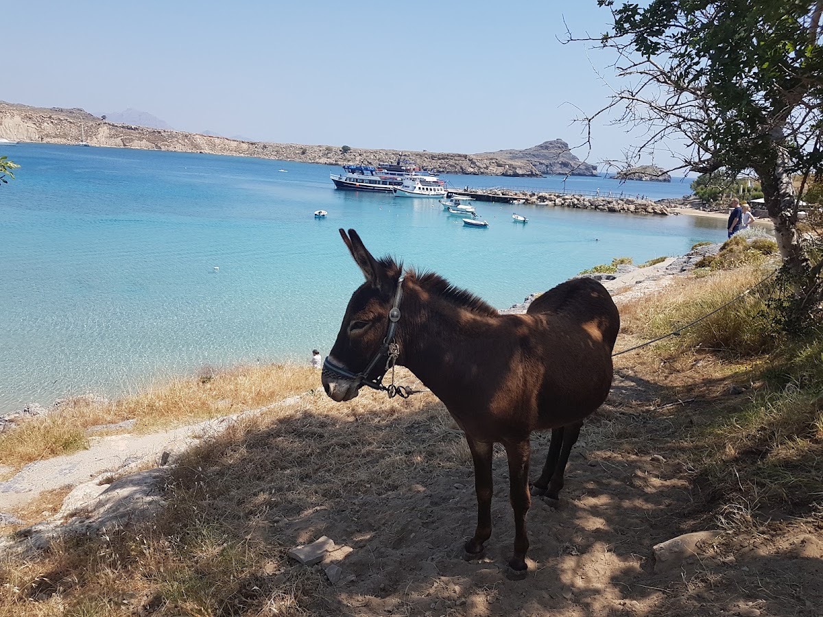 Lindos Beach