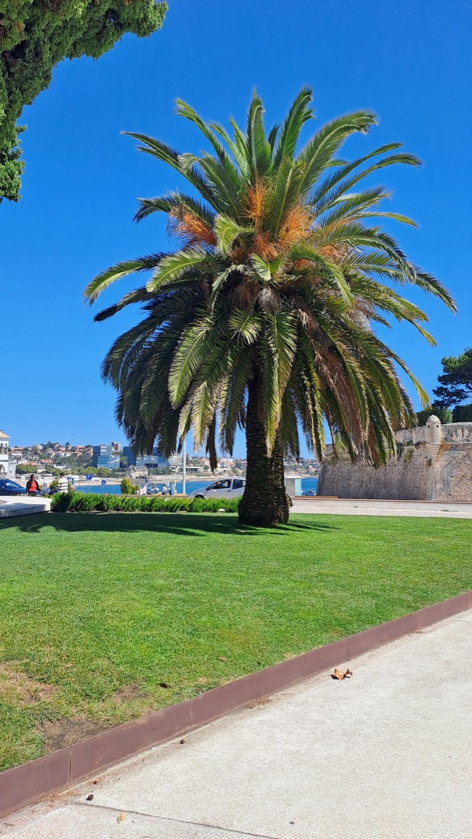 Cascais