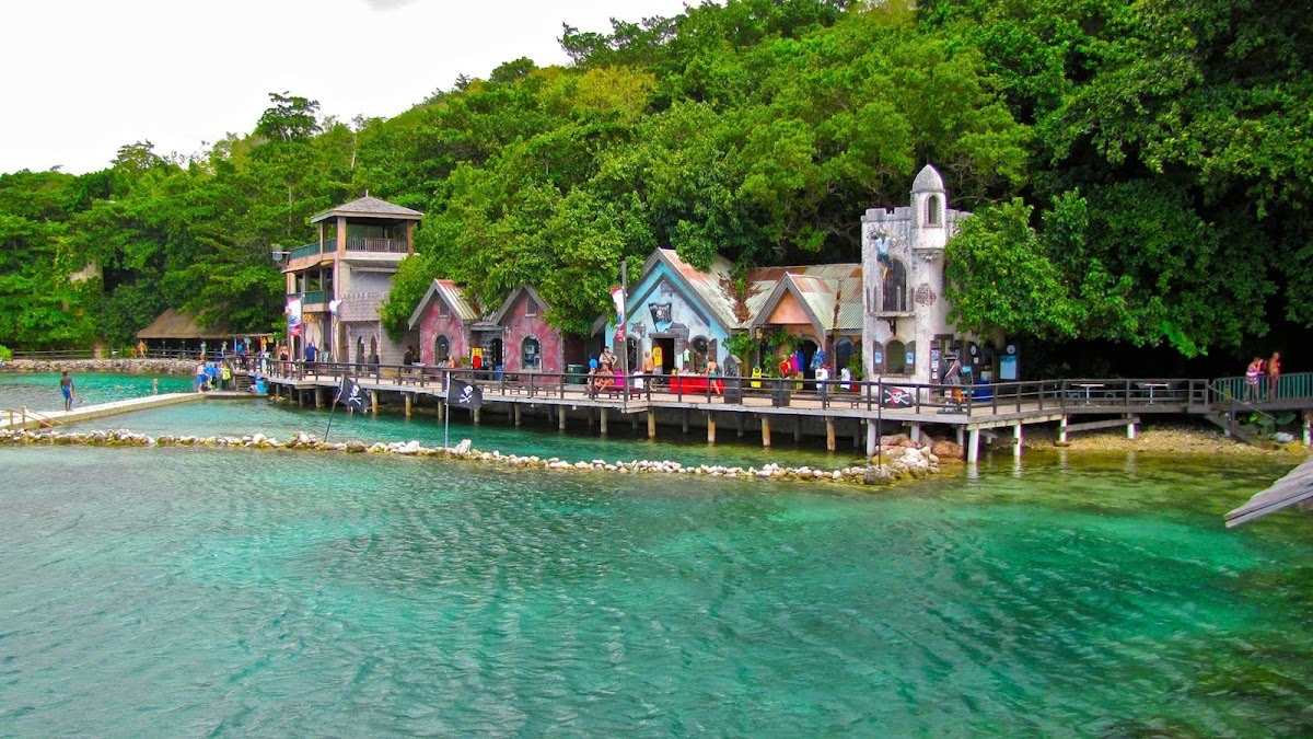 Dolphin Cove — Ocho Rios