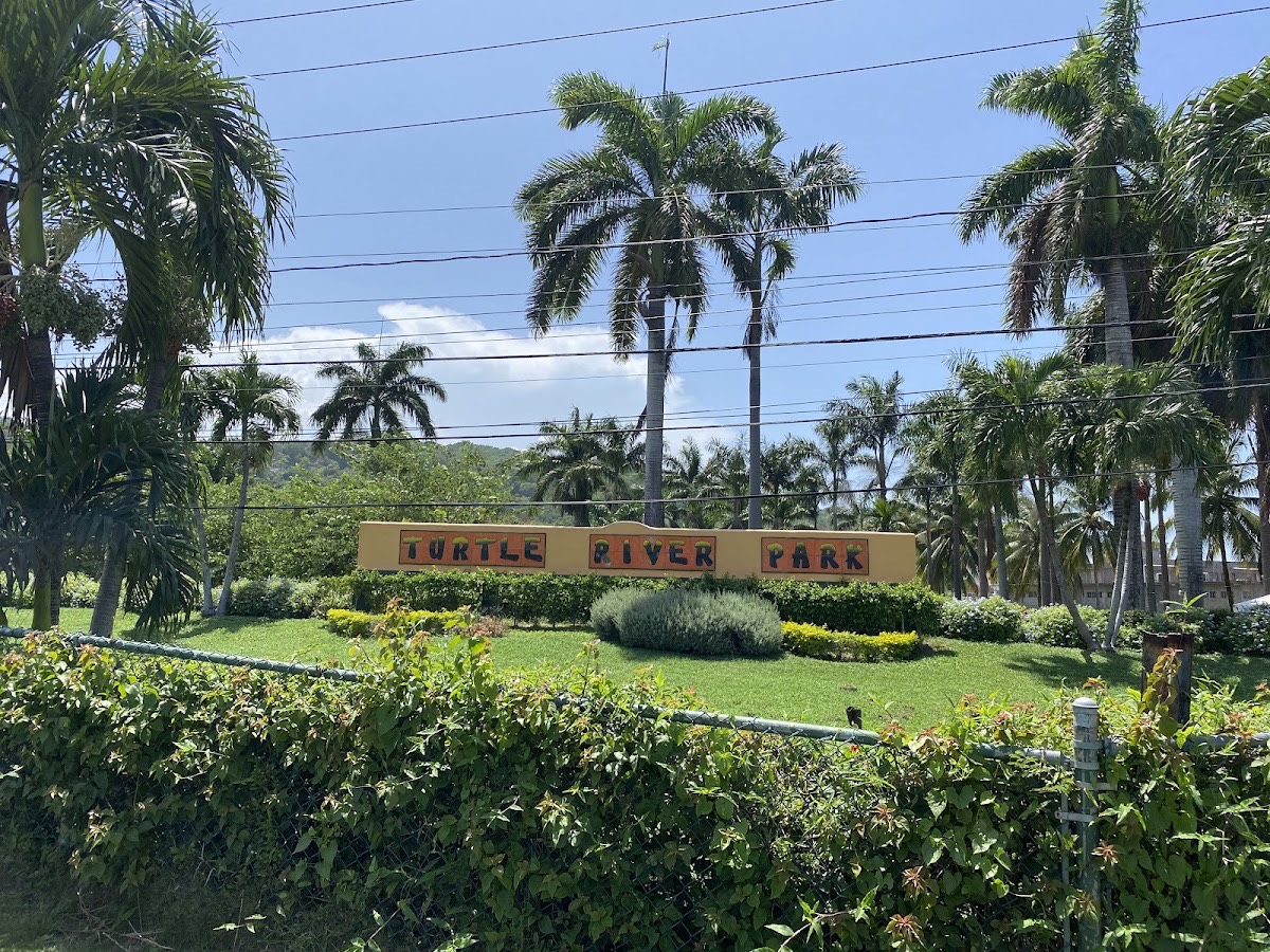 Turtle River Park — Ocho Rios